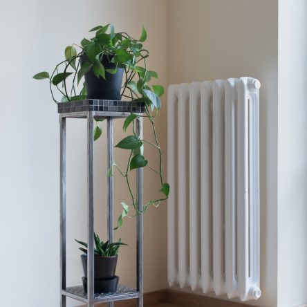 Jan Osłupiały – mozaika ceramiczna