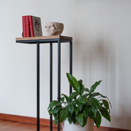 Janek Janek Pokaż Rogi – sosna średnia