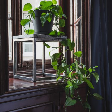 Jan Przysadzisty – granit