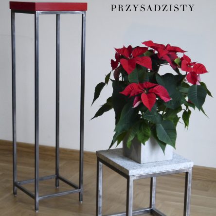 Janek ma Chłopaka – komplet